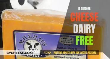 Is Cheddar Cheese Dairy-Free? Unraveling the Cheese Conundrum