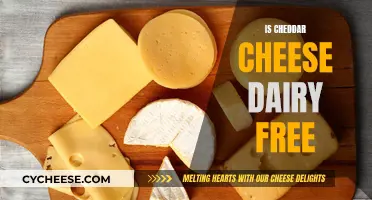 Cheddar Cheese: A Dairy Conundrum?