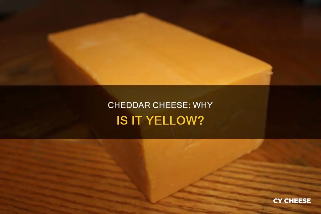 is cheddar cheese dyed yellow