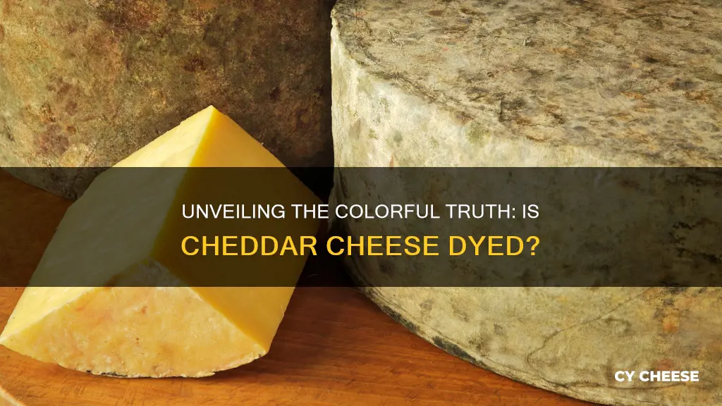 is cheddar cheese dyed