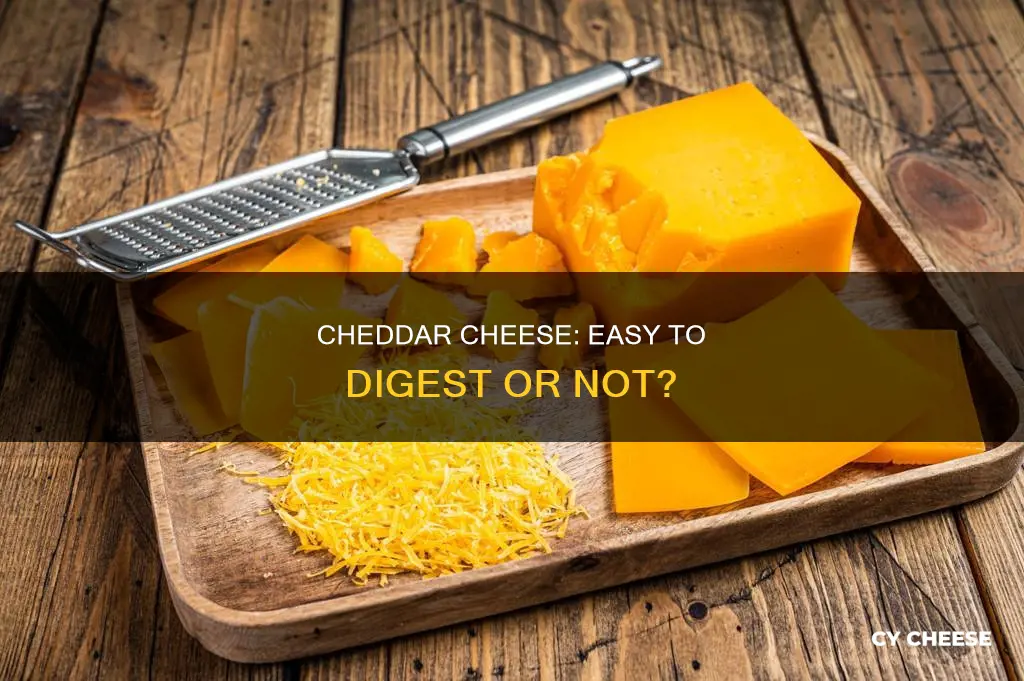 is cheddar cheese easy to digest