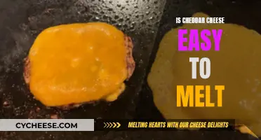 Cheddar Cheese: Melting Made Easy?