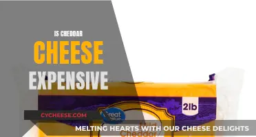 Is Cheddar Cheese Worth the Price Tag?