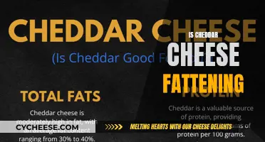 Unraveling the Cheddar Conundrum: Is It Fattening?