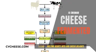 The Fermentation Process of Cheddar Cheese: Unlocking its Unique Flavor