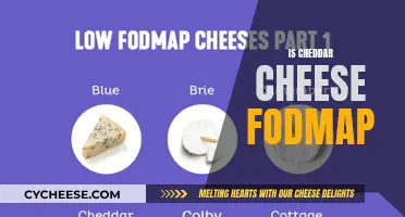 Unraveling the Cheddar Mystery: FODMAP Friend or Foe?