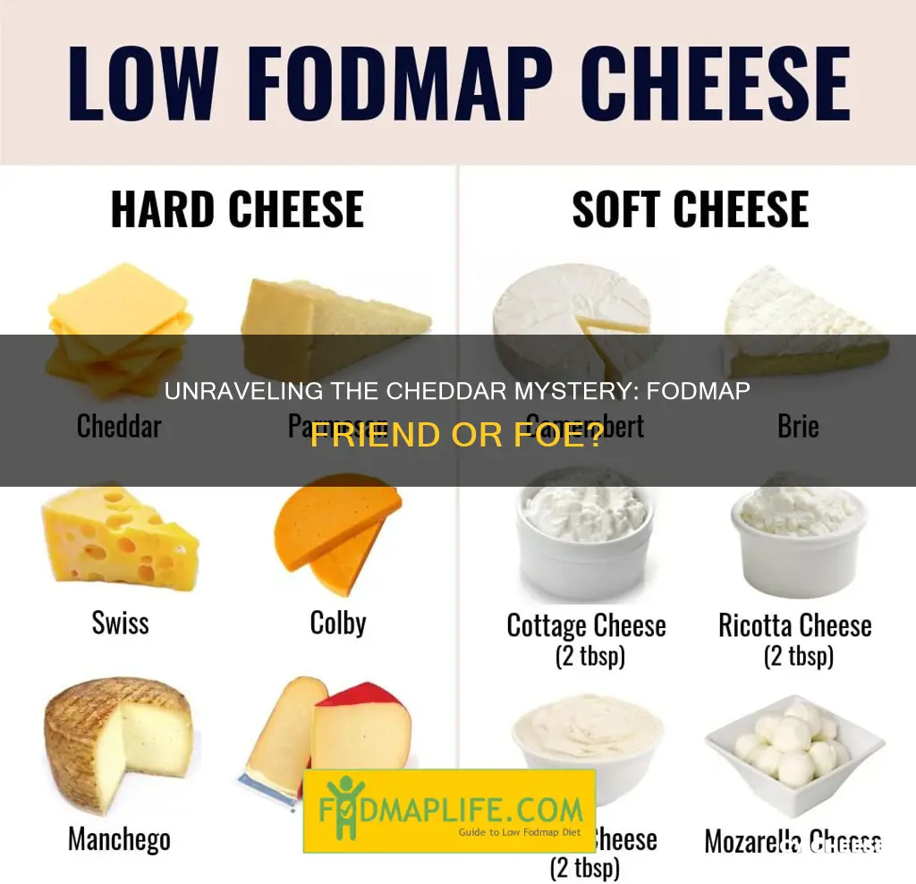 is cheddar cheese fodmap