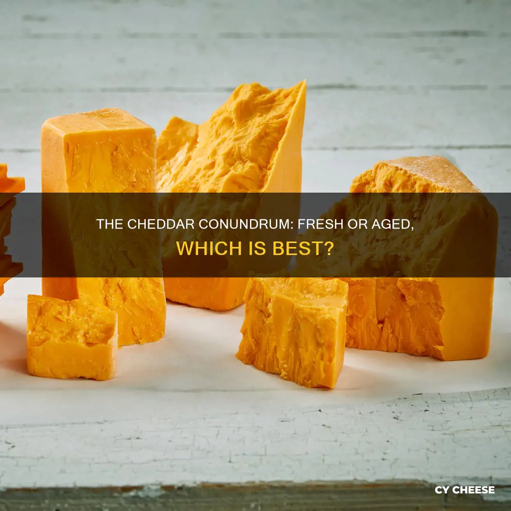 is cheddar cheese fresh or aged