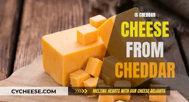 Unraveling the Cheddar Mystery: Is It Always From Cheddar?