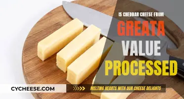 Is Cheddar Cheese a Healthy Choice? Unveiling the Truth Behind Processed Foods