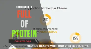 Cheddar Cheese: Unlocking the Protein Power in Every Bite