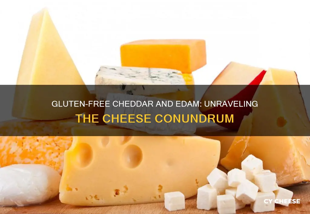 is cheddar cheese gluten free what about edam dutch cheese