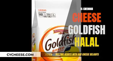 Unraveling the Cheddar Mystery: Is Goldfish Halal?