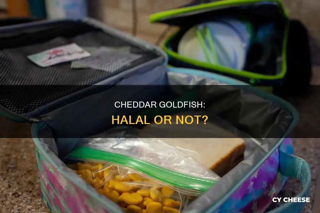 is cheddar cheese goldfish halal