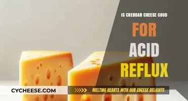 Cheddar Cheese and Acid Reflux: Is It a Safe Choice?