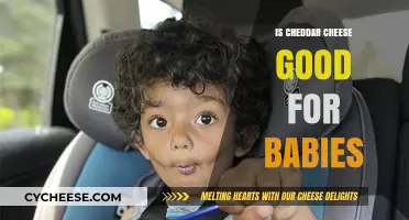 Cheddar Cheese for Babies: Is It Safe?