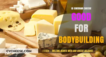Cheddar Cheese: A Bodybuilder's Friend or Foe?