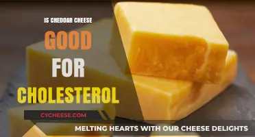 Cheddar Cheese: Friend or Foe to Cholesterol?