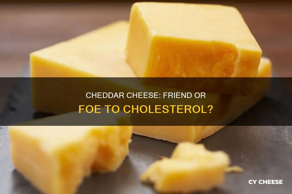 is cheddar cheese good for cholesterol