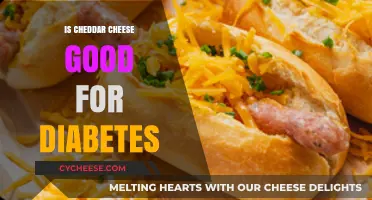 Cheddar Cheese and Diabetes: Benefits, Risks, and Healthy Eating Tips