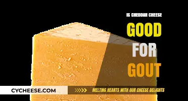 Cheddar Cheese and Gout: Benefits, Risks, and Dietary Tips