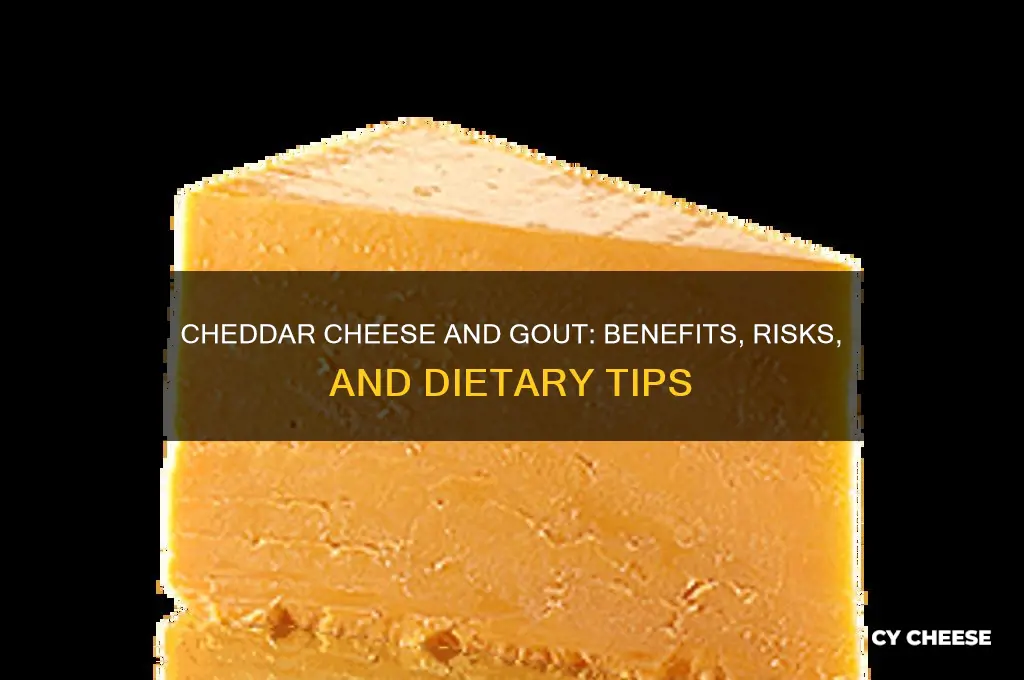 is cheddar cheese good for gout