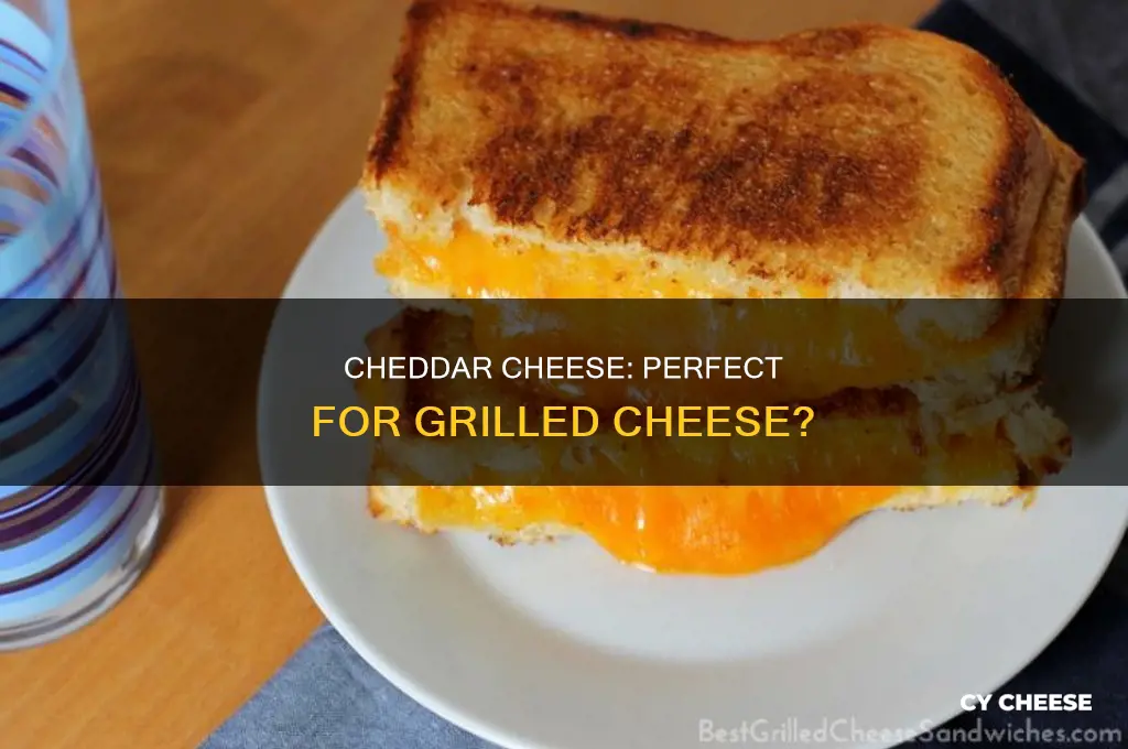is cheddar cheese good for grilled cheese
