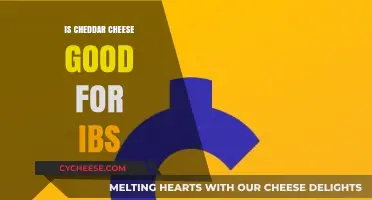 Cheddar Cheese and IBS: A Safe Snack?