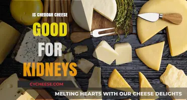 Cheddar Cheese: A Healthy Kidney-Friendly Snack?
