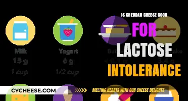 Cheddar Cheese: A Lactose Intolerant's Friend or Foe?