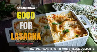 Cheddar Cheese Lasagna: A Delicious Combination?