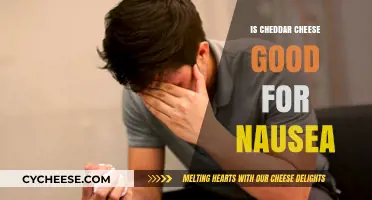 Cheddar Cheese: A Nausea Remedy?