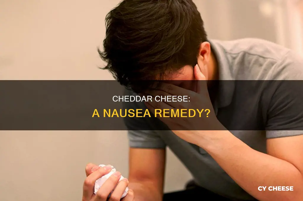 is cheddar cheese good for nausea