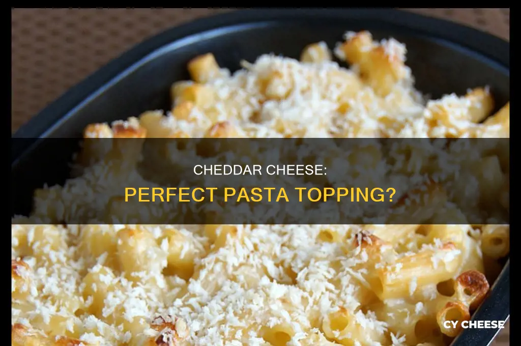 is cheddar cheese good for pasta