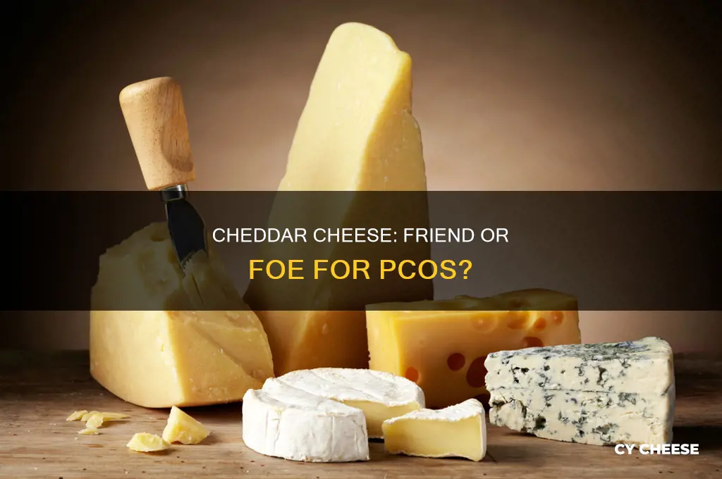is cheddar cheese good for pcos