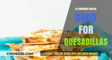 Cheddar Cheese: Perfect Quesadilla Addition?