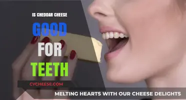 Cheddar Cheese: Friend or Foe for Teeth?