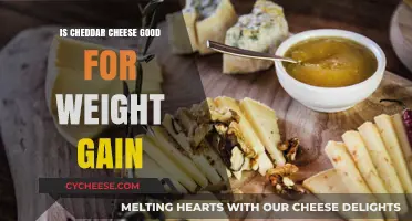 Cheddar Cheese: Weight Gain Superfood?