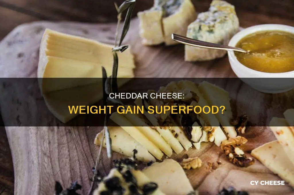 is cheddar cheese good for weight gain
