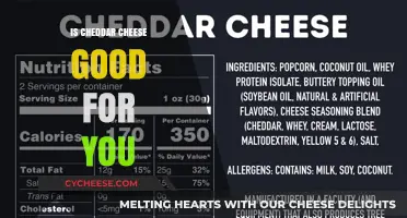 Cheddar Cheese: Nutritional Benefits, Health Impacts, and Smart Consumption Tips