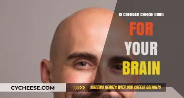 Cheddar Cheese: Brain Benefits and Beyond