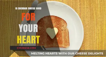 Cheddar Cheese: Healthy Heart Benefits?