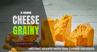 The Texture Twist: Cheddar's Grainy Enigma