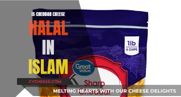 Is Cheddar Cheese Halal? Unveiling the Islamic Verdict