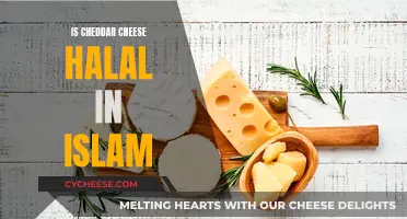 Cheddar Cheese: Halal or Haram for Muslims?