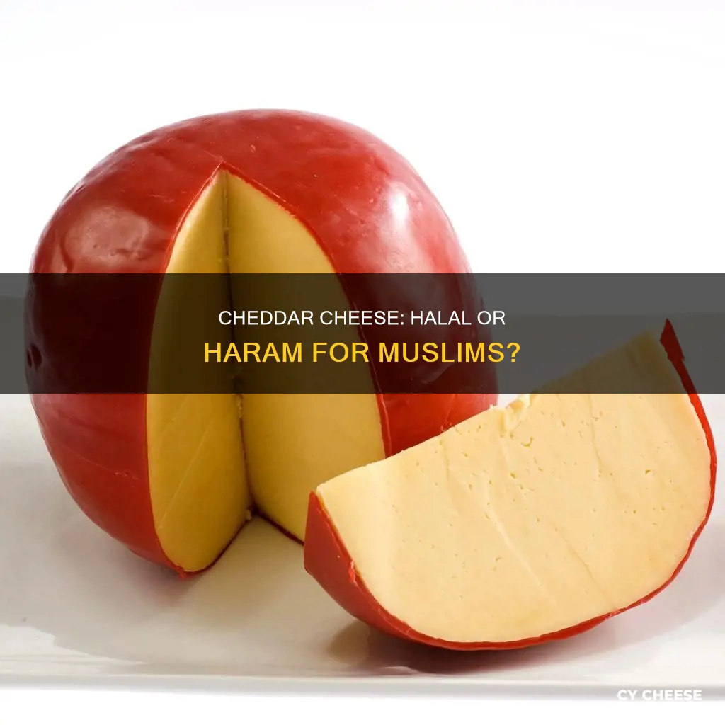 is cheddar cheese halal in islam