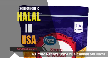 Is Cheddar Halal? USA Cheese Guide