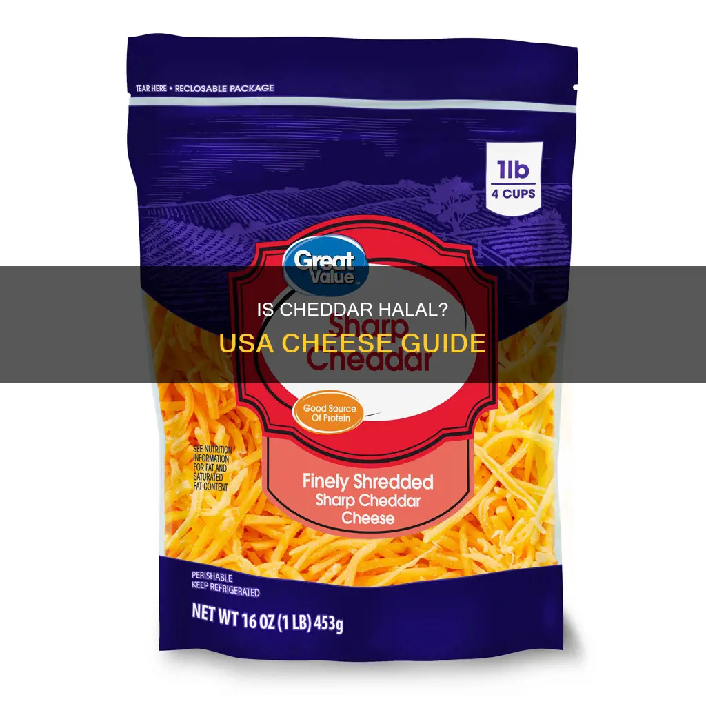 is cheddar cheese halal in usa