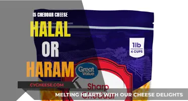 Is Cheddar Cheese Halal or Haram? Unveiling the Truth