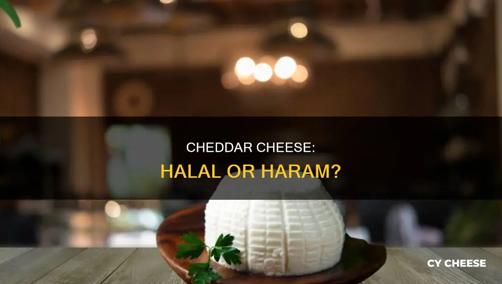 is cheddar cheese halal or haram